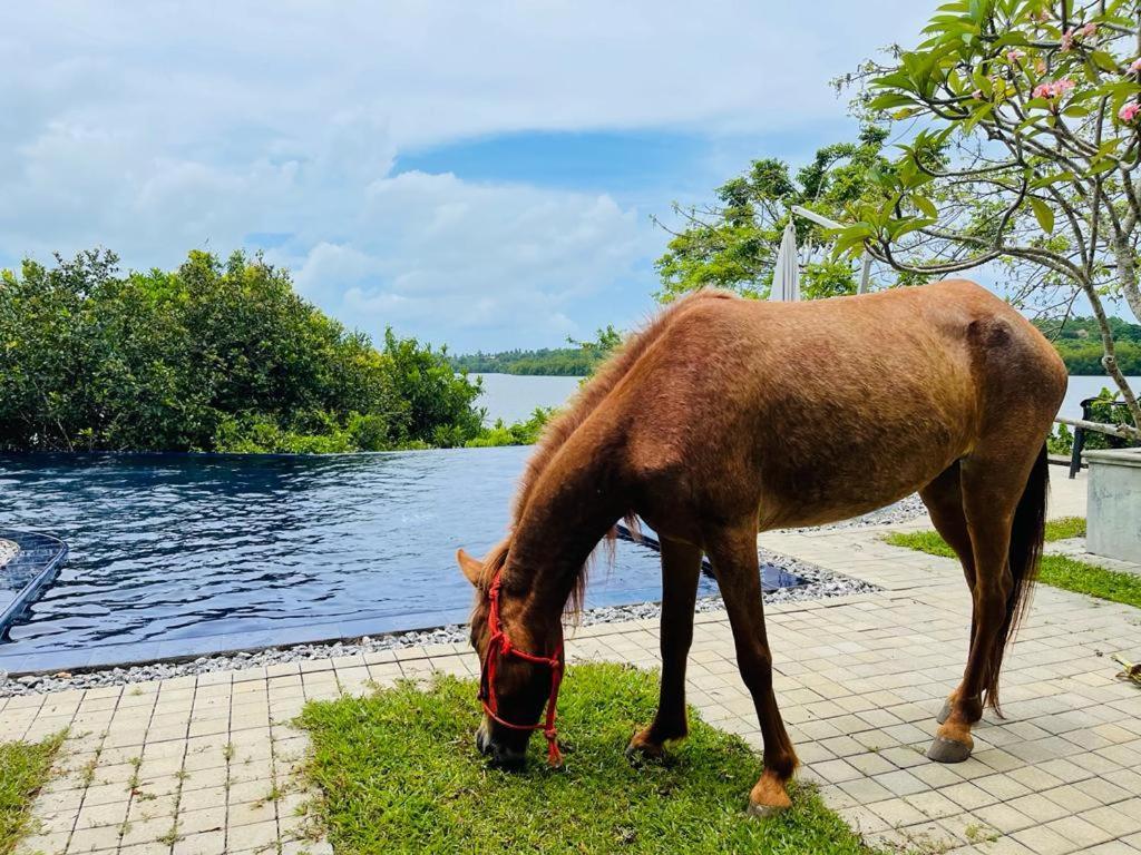 Kalapuwa Resort バラピティヤ エクステリア 写真