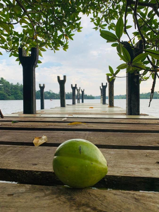 Kalapuwa Resort バラピティヤ エクステリア 写真